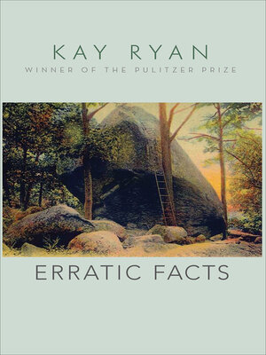 cover image of Erratic Facts